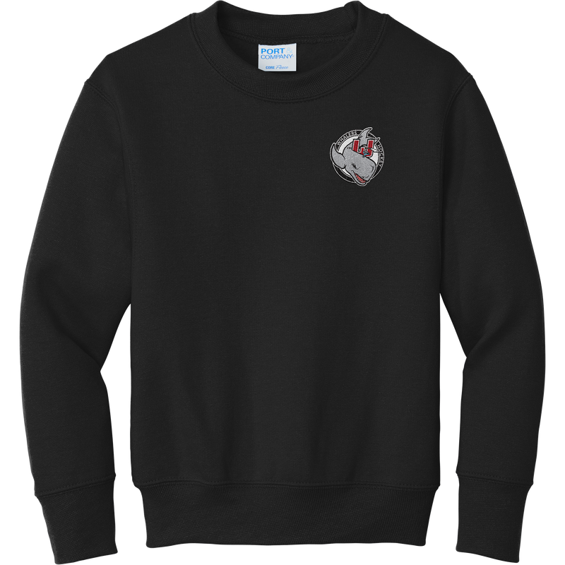 CT Whalers Tier 2 Youth Core Fleece Crewneck Sweatshirt